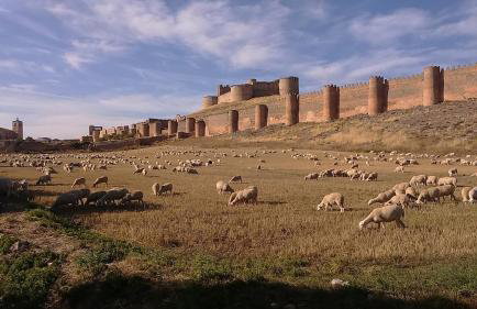 CASA RURAL ALTA YUBERIA - Foto 6