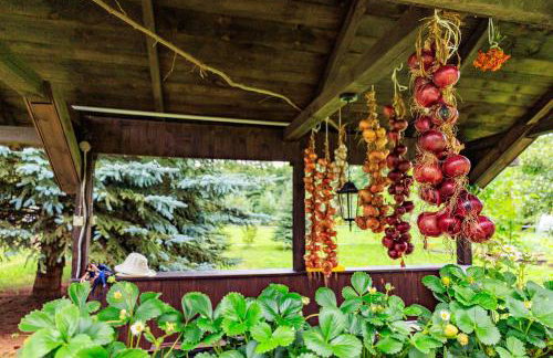 Zielona Zagroda Agnieszka Połeć - Foto 21