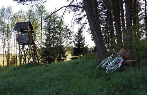 Na Przypiecku - Foto 20