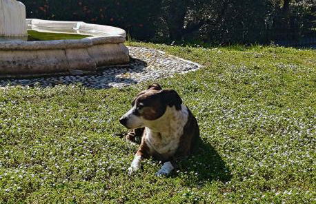 Casa Silvia - Foto 28