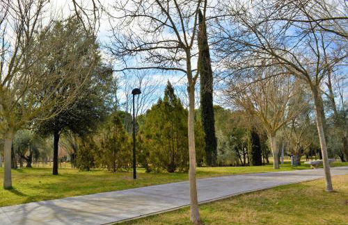 Sweet Toledo - Foto 25