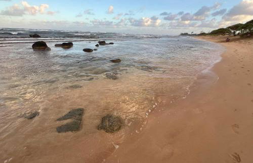 Kauai Beach Villas E16 - Foto 31