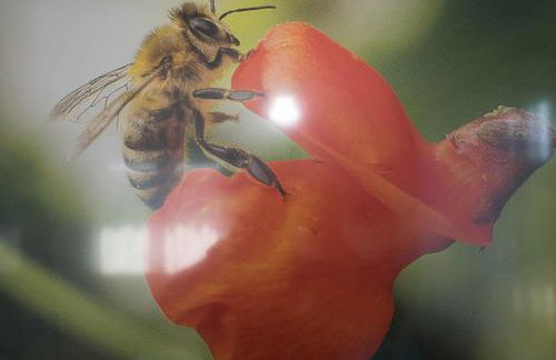 16Lilien Apartmentwohnung Gartenblick - Foto 18