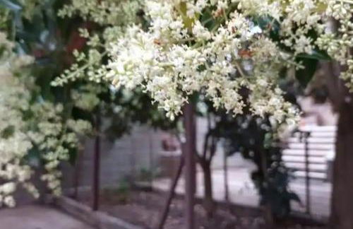 Finca Marina Turismo Rural - Foto 24