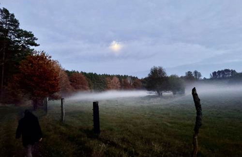 Herrenhaus Carolinenhof - Foto 22