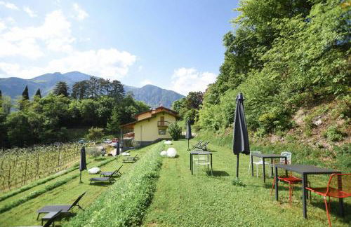 Agritur Casteller - Photo 128