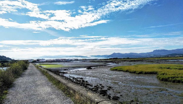 Visita a una fábrica conservera + Marismas de Santoña - Foto 3