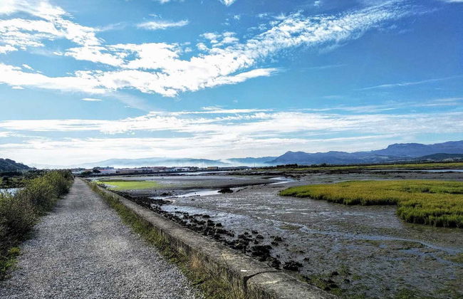 Visita a una fábrica conservera + Marismas de Santoña - Foto 3