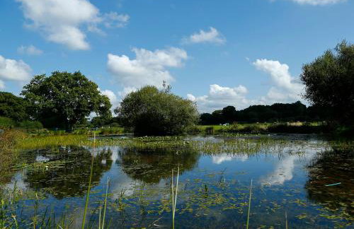 Twelve Oaks Farmhouse - Foto 44