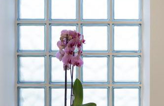 marYsol luxury maison - Foto 22