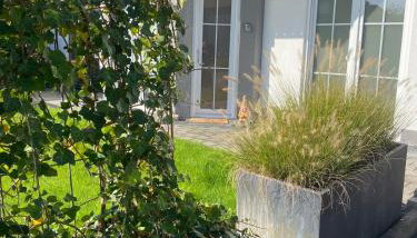 Gemütliche Wohnung im grünen - Foto 3