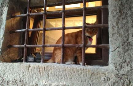 l'arco di Sersa - Photo 33