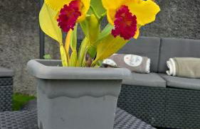 Casa da Cruz - Foto 23