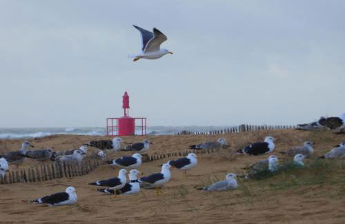 Ma Chaumiere - Foto 45