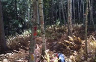 The Hunter Cabin at Sky Hollow - Foto 6