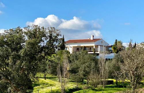 Vale da Lama - Foto 7