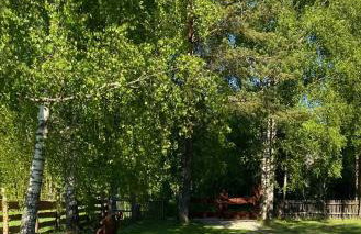 Chyża Chata na Krańcu Świata - Foto 64