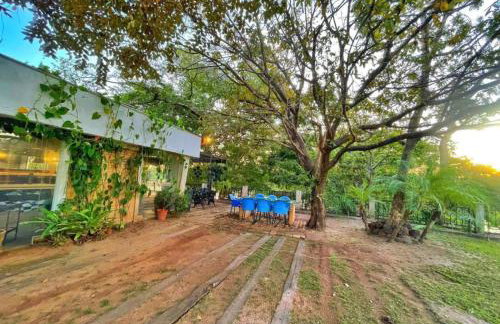 Barranko Dus Bakanas - Foto 33