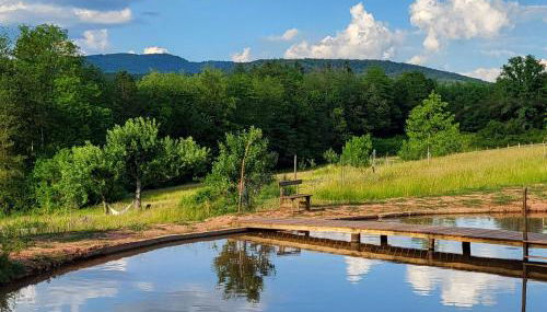 CŒUR VERT ökologisch mit viel Ambiente für Seelen-Wellness - Foto 5