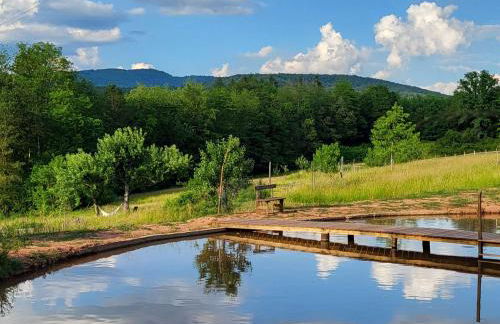 CŒUR VERT ökologisch mit viel Ambiente für Seelen-Wellness - Foto 5