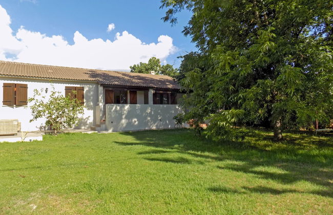 Agula Marina - Foto 3