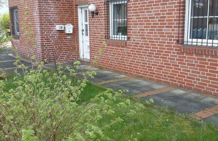 Fewo-Seither - Foto 6