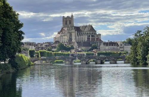 Le Pigeonnier centre historique Auxerre - Foto 63