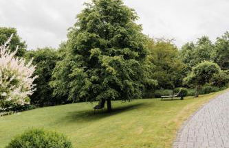 FeWo Vulkaneifelzeit / nahe Nürburgring - Foto 8