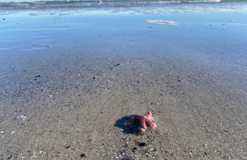 Tohuus Op'n Dörp - Foto 23