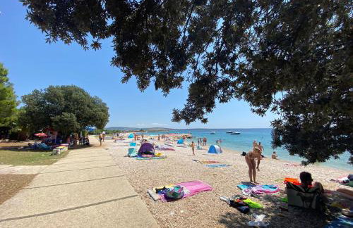 Apartmani Ruža - Photo 57