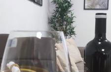 Albufeira New House - Foto 6