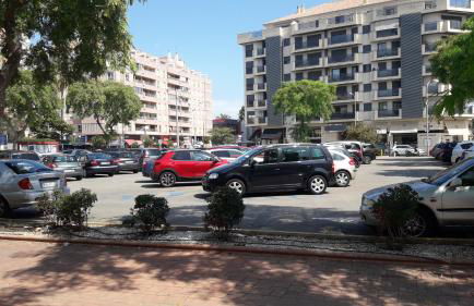 Flowers Denia - Photo 26