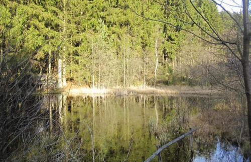 Holiday Home in Lissendorf by Forest - Foto 69