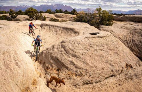 Zion's Tiny Getaway - Foto 76