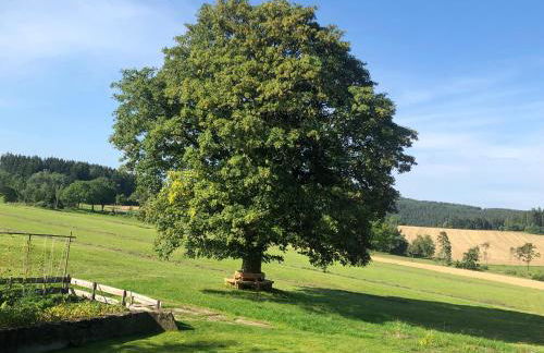 Ferienwohnung Sonnenhof - Foto 59