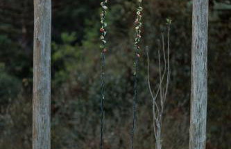 Reserva Cabanas - Foto 88