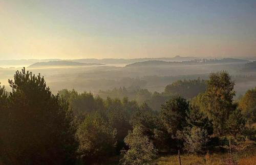 Leśne Klimaty - Foto 20