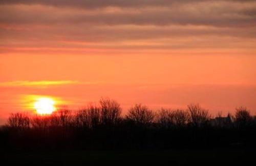 Großer Feldblick - Foto 24