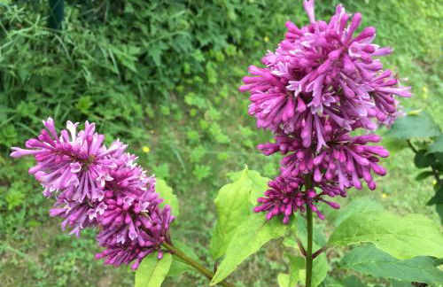 ZEIT für DICH - Foto 37