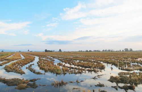 La caseta del canal - Foto 38