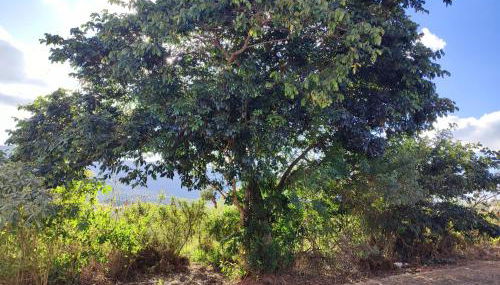 Casa de Temporada Xisto - Foto 2