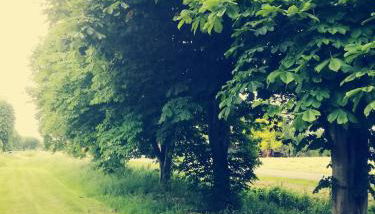 FeWo Unner'd Kastanje - Foto 3, Garden