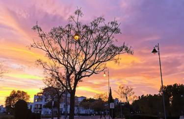 Penthouse Golf Hacienda Riquelme - Foto 47