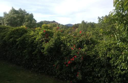 El huerto de la Reina - Foto 63