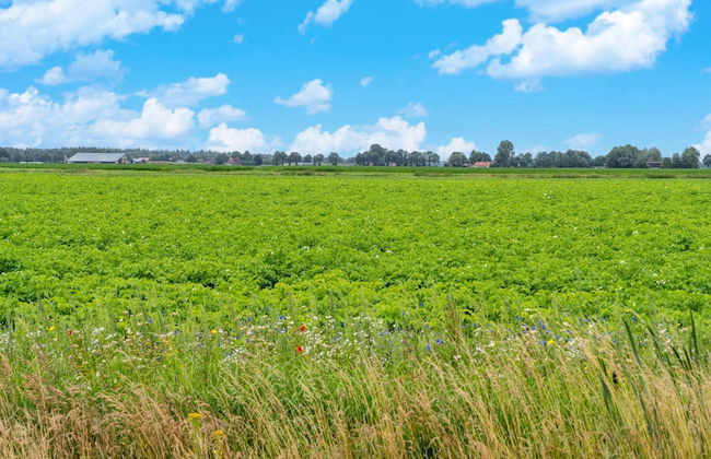 Lodge in Hattemerbroek Near Veluwe Forest - Foto 39