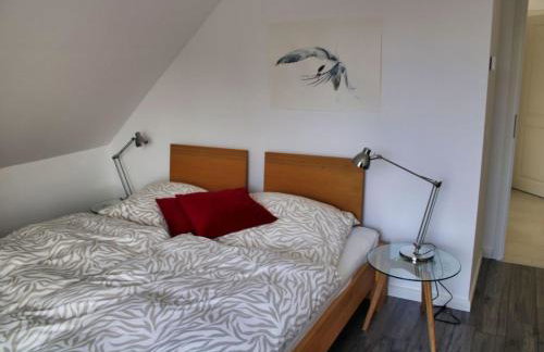 Fewo Zwergseeschwalbe - Ostsee at its best! - Foto 10