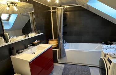 Le cocon de Marckolsheim proche Europapark - Foto 47