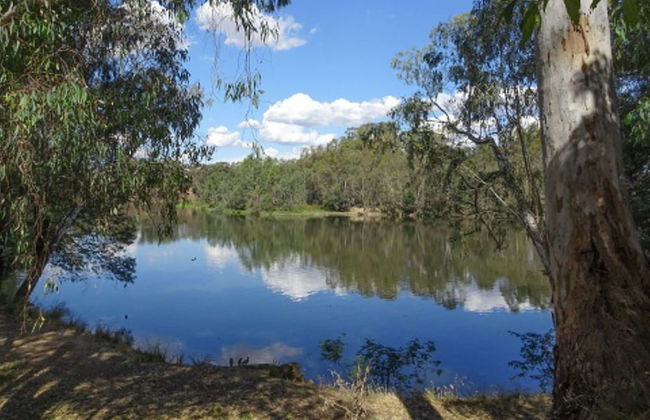 BIG4 Seymour Holiday Park - Foto 33