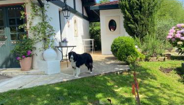 A la Colline de la bergerie - Foto 4