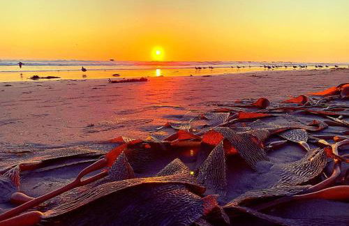 A Total Distanced Coastal Experience! - Foto 30